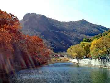 澳门二四六天天免费好材料，北京车险